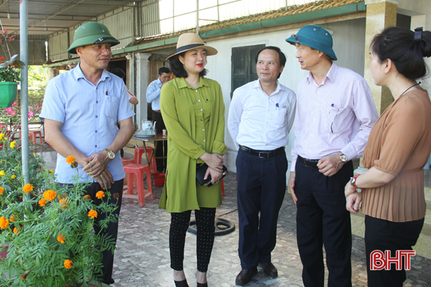 Hà Tĩnh có nhiều mô hình sản xuất nông nghiệp điển hình, cần nhân rộng