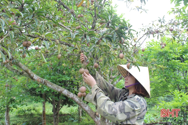 Bình quân mỗi xã ở Can Lộc đạt 17,6 tiêu chí nông thôn mới