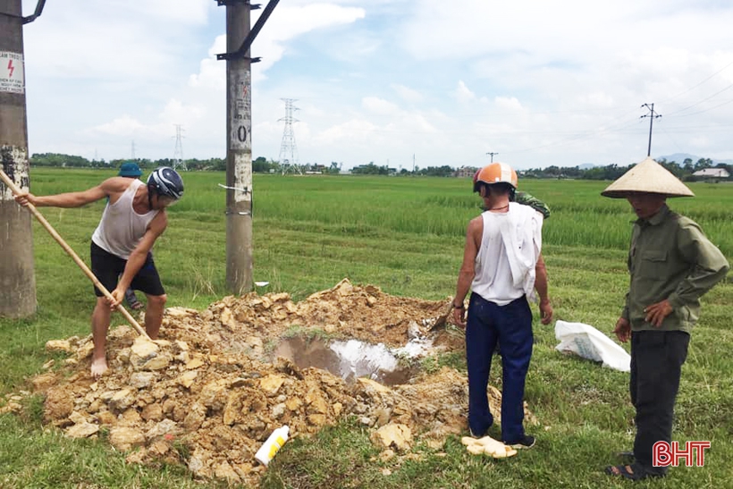 Thạch Hà xử phạt đối tượng vận chuyển lợn từ vùng dịch qua địa bàn