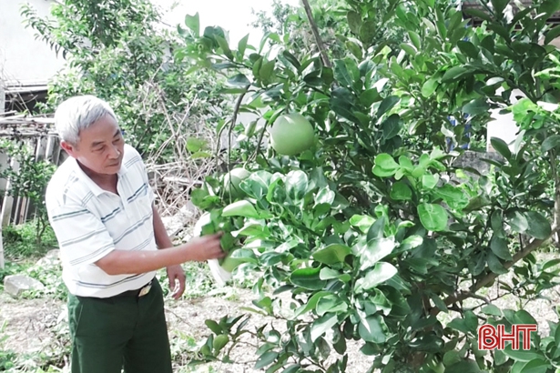 Cựu chiến binh 20 năm “lăn lộn” cùng nông dân