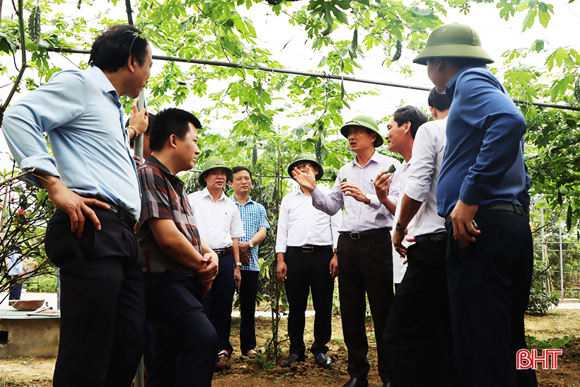 Cẩm Xuyên cần xây dựng nông thôn mới với tinh thần không có điểm kết thúc