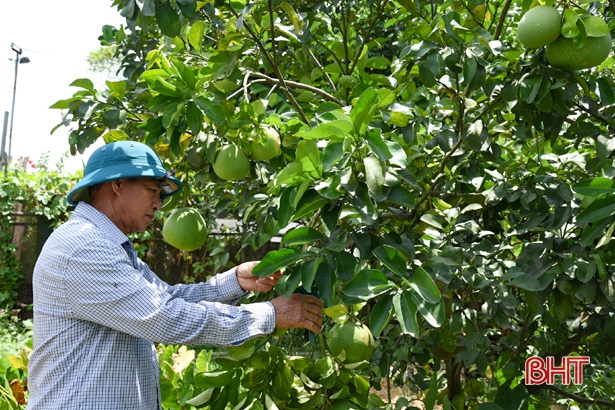 Người cựu binh dạn dày trên chiến trường, sáng tạo trong xây dựng NTM