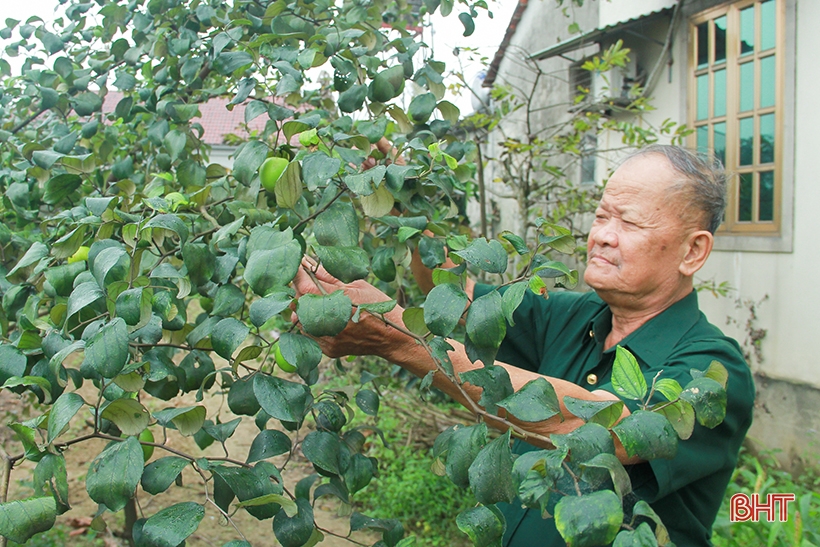 Người thương binh điển hình trong xây dựng vườn mẫu ở Nghi Xuân