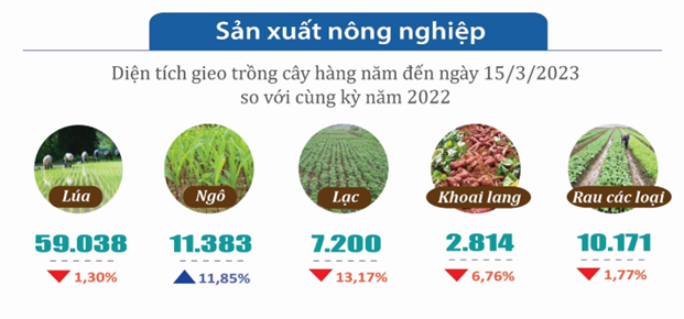 Báo cáo tình hình kinh tế - xã hội tháng 3 và Quý I năm 2023