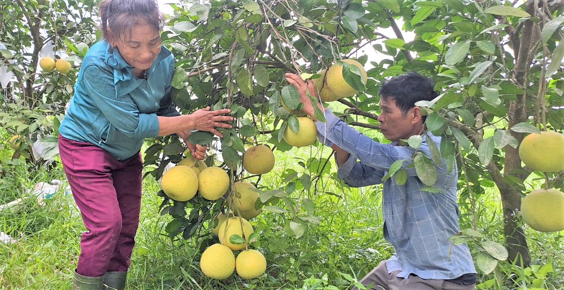 Ý chí vươn lên tại miền đất nghèo