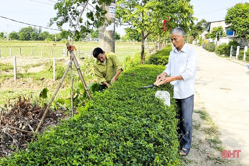 Phối hợp phát triển nông nghiệp, kinh tế nông thôn, xây dựng nông thôn mới