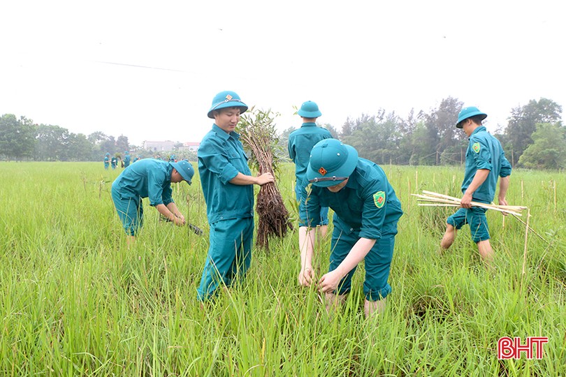 Nâng chất lượng tiêu chí nông thôn mới, đô thị văn minh ở TP Hà Tĩnh