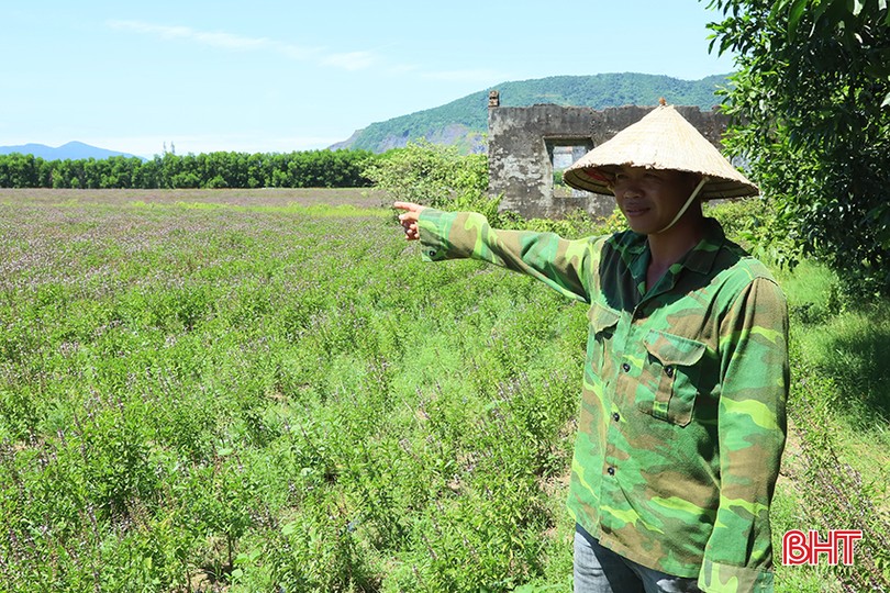 Đa dạng mô hình kinh tế, Kỳ Tân nỗ lực về đích nông thôn mới nâng cao